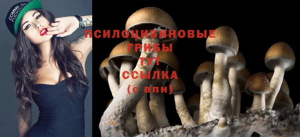 крисы Алексеевка