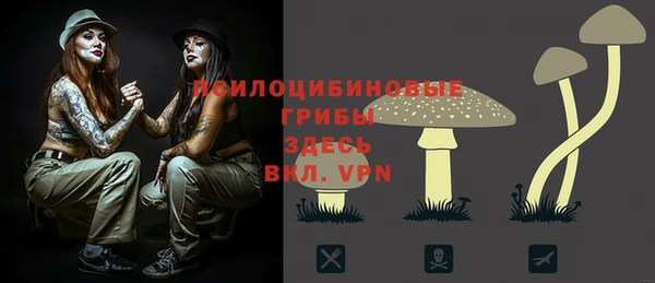 крисы Алексеевка