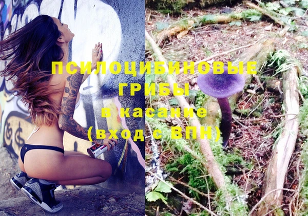 крисы Алексеевка