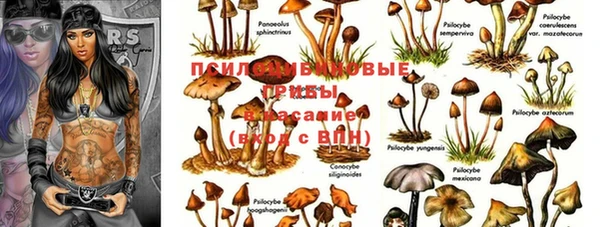 первитин Алексин