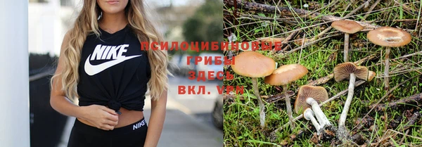 крисы Алексеевка