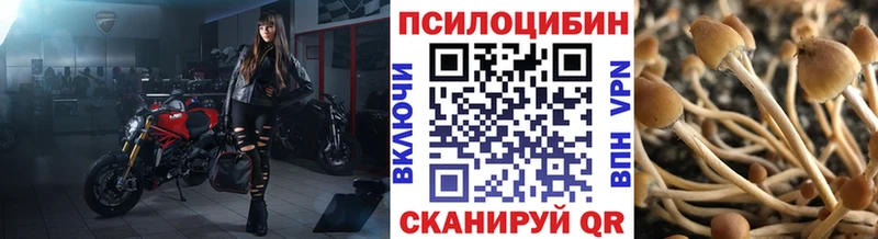 Псилоцибиновые грибы ЛСД  Катав-Ивановск 